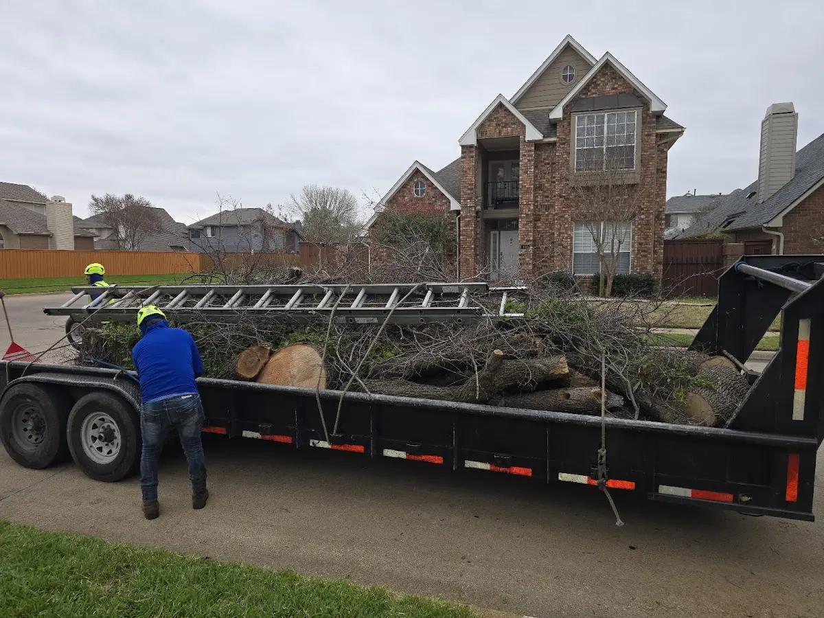 Expert Lot Clearing with proper safety equipment in Saint Benedict